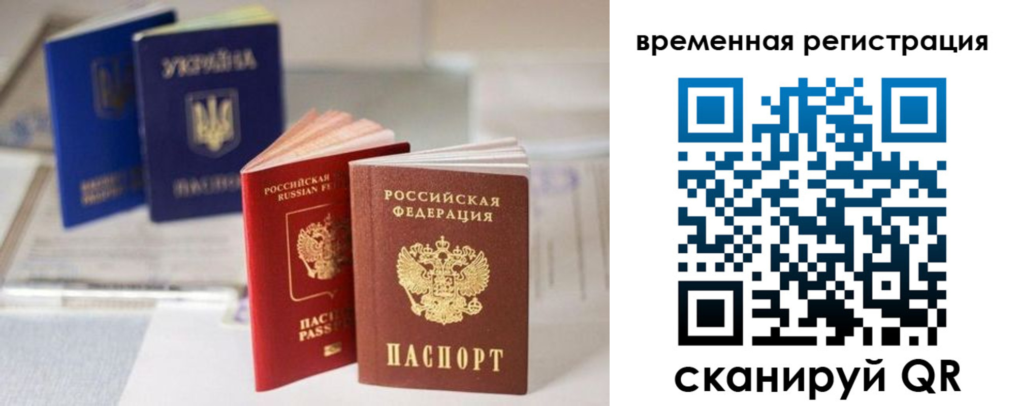 прописка поиск в Порхове